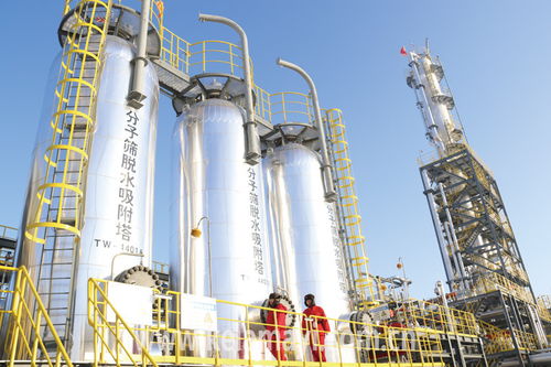 技術推廣 高質量采氣廠建設的關鍵支撐